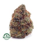 Buy Cannabis Wedding Crasher AAA at MMJ Express Online Shop