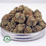 Buy Cannabis Wedding Crasher AAA at MMJ Express Online Shop