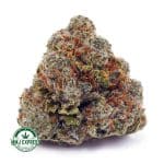Buy Cannabis Melonade AAAA at MMJ Express Online Shop