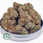 Buy Cannabis Melonade AAAA at MMJ Express Online Shop