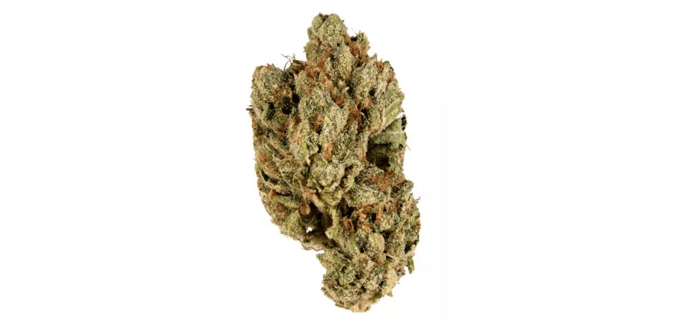 White Lightning is popularly known as a heavy hitter due to its high concentration of THC of up to 24%. When you want to order weed online and are looking for a potent hit, White Lightning aligns with your needs. 