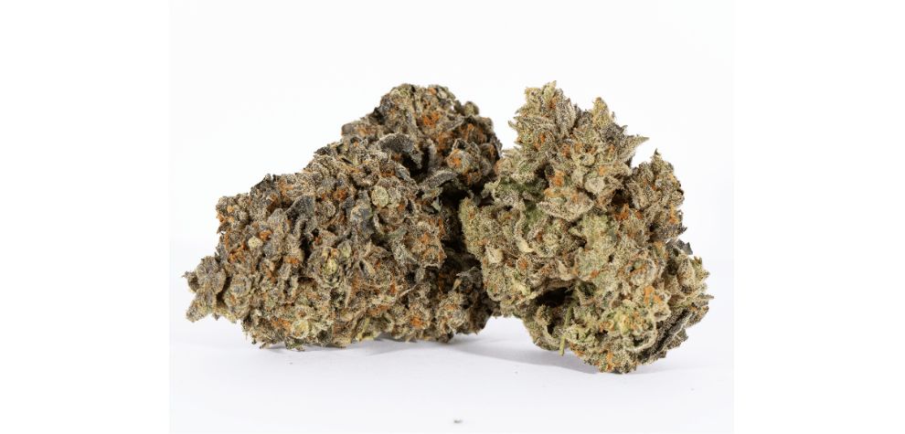 The White Lightning strain is only minutes away from you. MMJExpress features a wide variety of cannabis products where you can place a quick order and get a product to set the mood right. 