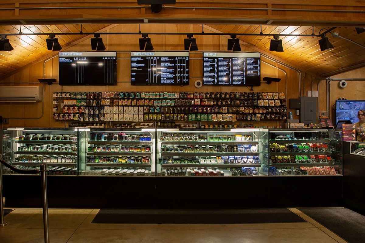 Dive into the vast pot collection at your online weed store, MMJ Express, and discover why digital shopping is superior to traditional cannabis shops.