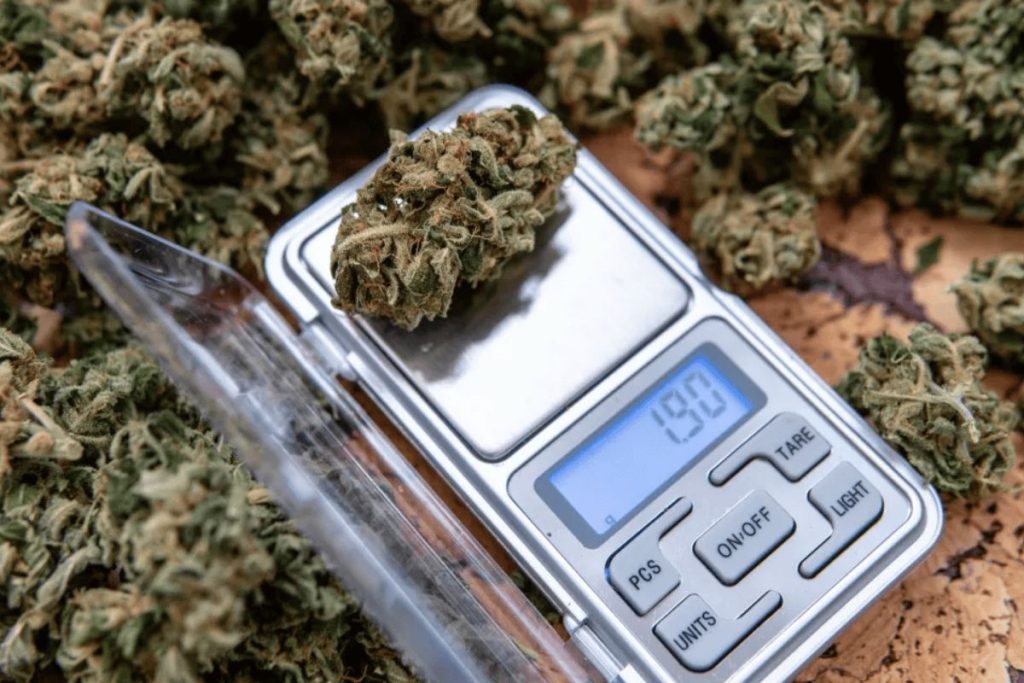 Master cannabis measurements & find out how much an ounce of weed is, whether a half an ounce is enough, & how much cannabis can cost you. 