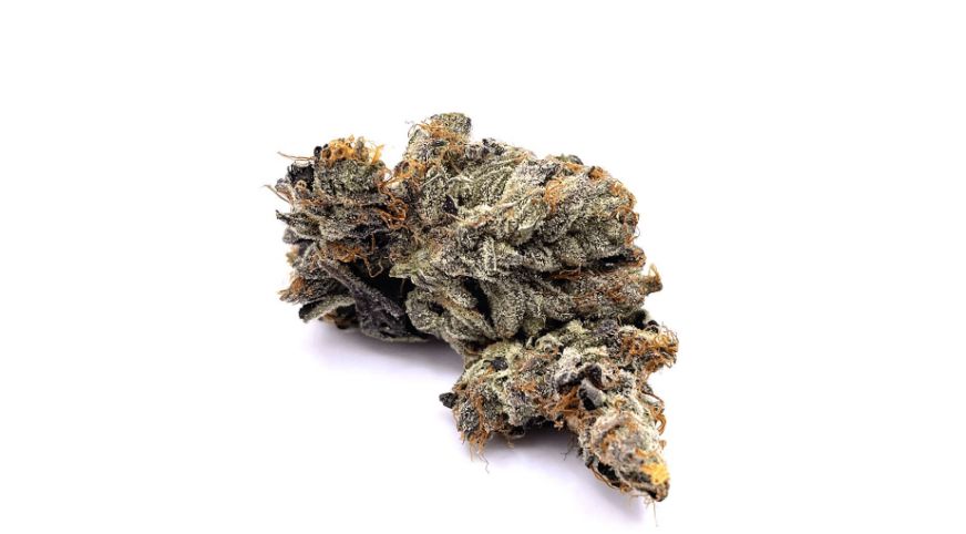 The appearance of a strain’s buds says a lot about the strain’s aroma, taste, and potency. 
