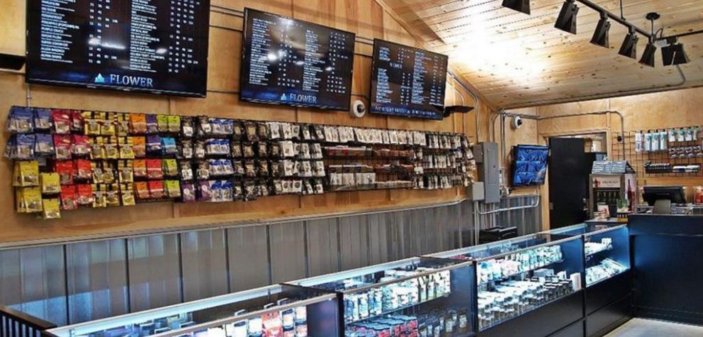 Online weed stores are creating a serious impact worldwide — they offer higher-quality products at better prices compared to physical stores. 