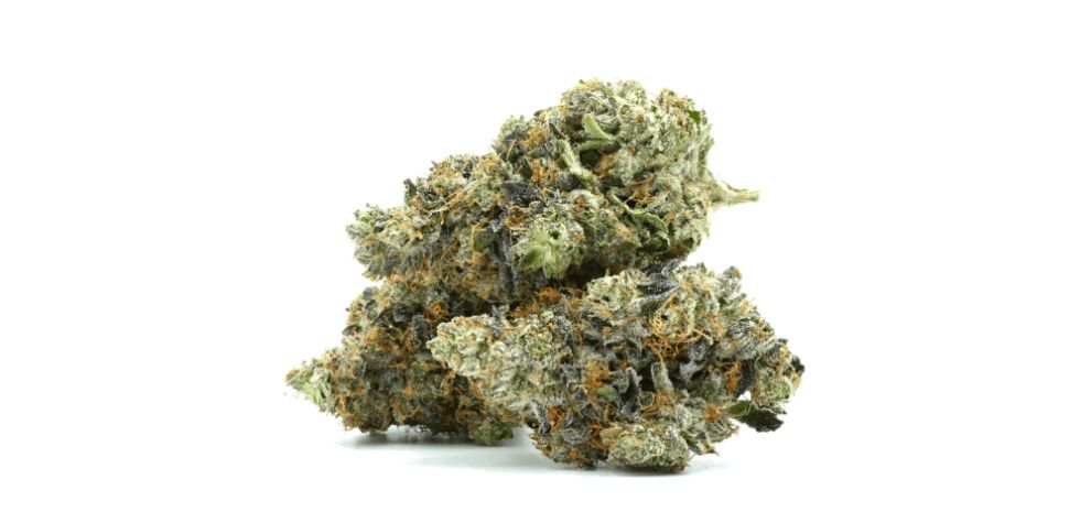 If you fancy high-THC indica strains with some sativa properties, buy the Death Cookies strain online in Canada.
