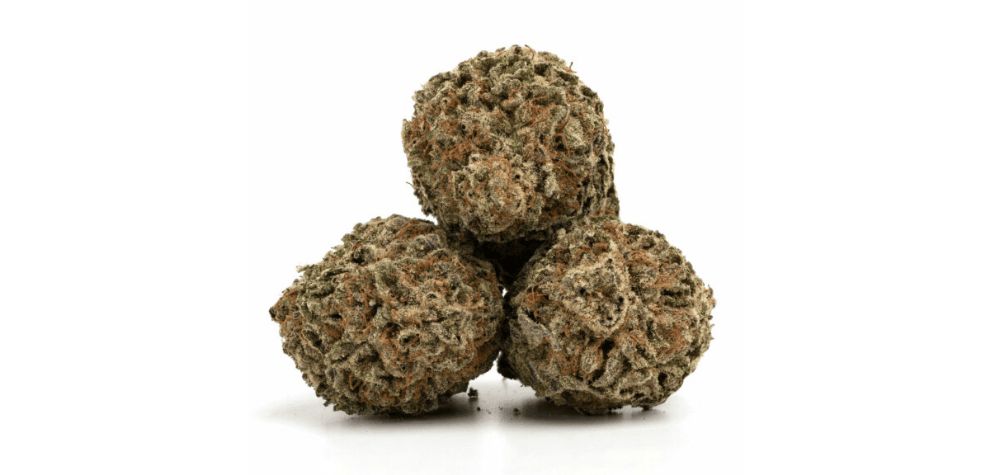 Whether you’re looking for potent weed buds such as the Gas Face strain or edibles and concentrates, MMJ Express has got you covered. 