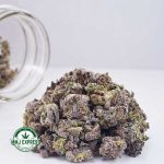 Buy Cannabis White Truffle AAAA (Popcorn) at MMJ Express Online Shop