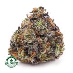 Buy Cannabis Master Kush Ultra AAAA at MMJ Express Online Shop