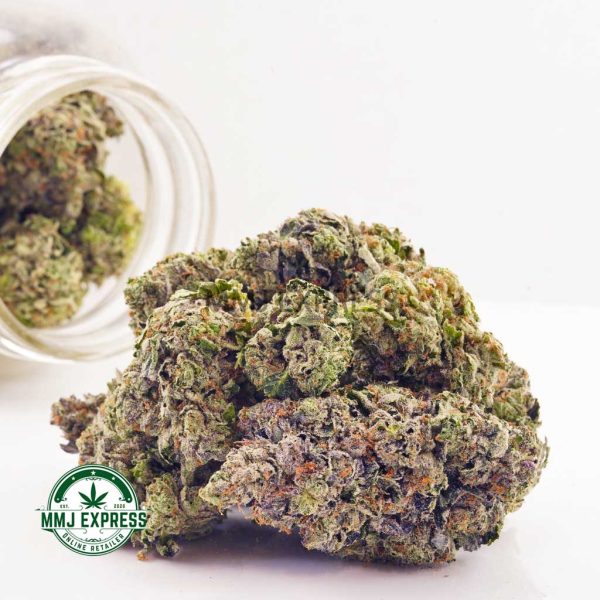 Buy Cannabis Apple Fritter AAAA+, Craft at MMJ Express Online Shop