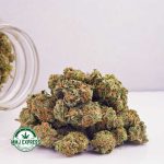 Buy Cannabis Tropical Punch AAAA (Popcorn Nuts) at MMJ Express Online Shop