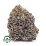 Buy Cannabis Ice Cream Cookies AAAA at MMJ Express Online Shop