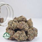 Buy Cannabis Ice Cream Cookies AAAA at MMJ Express Online Shop