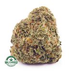 Buy Cannabis Maui Wowie AAA at MMJ Express Online Shop