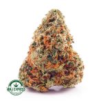 Buy Cannabis Hindu Kush AAA at MMJ Express Online Shop