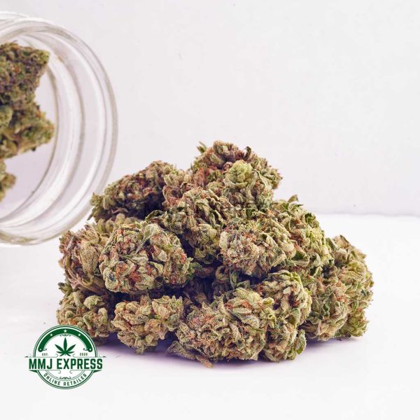 Buy Cannabis Dolato AA at MMJ Express Online Shop