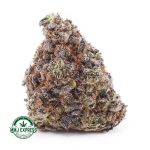 Buy Cannabis Fucking Incredible AAAA+, Craft at MMJ Express Online Shop