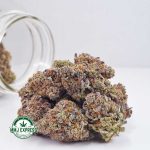 Buy Cannabis Fucking Incredible AAAA+, Craft at MMJ Express Online Shop