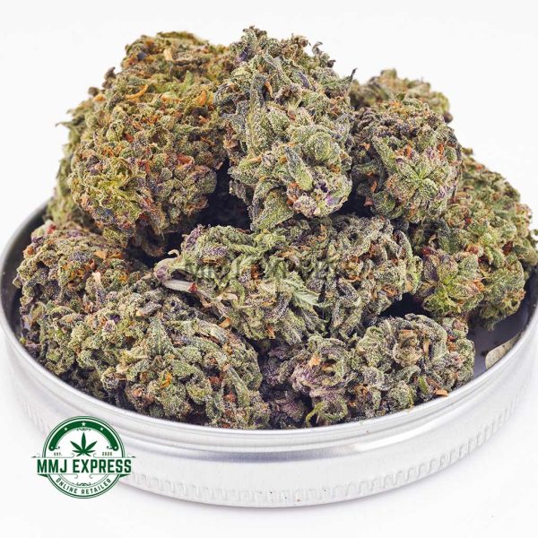 Buy Cannabis Jack Herer AA at MMJ Express Online Shop