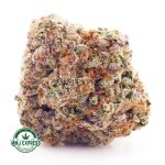 Buy Cannabis Frost Fruit Cake AAA at MMJ Express Online Shop