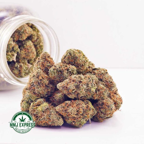 Buy Cannabis Blackberry Punch AAA at MMJ Express Online Shop