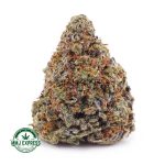 Buy Cannabis Island Maui Haze AAA at MMJ Express Online Shop
