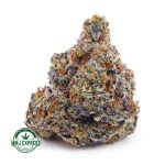 Buy Cannabis Comatose OG AAA at MMJ Express Online Shop