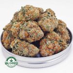Buy Cannabis GMO Cookies AAA at MMJ Express Online Shop
