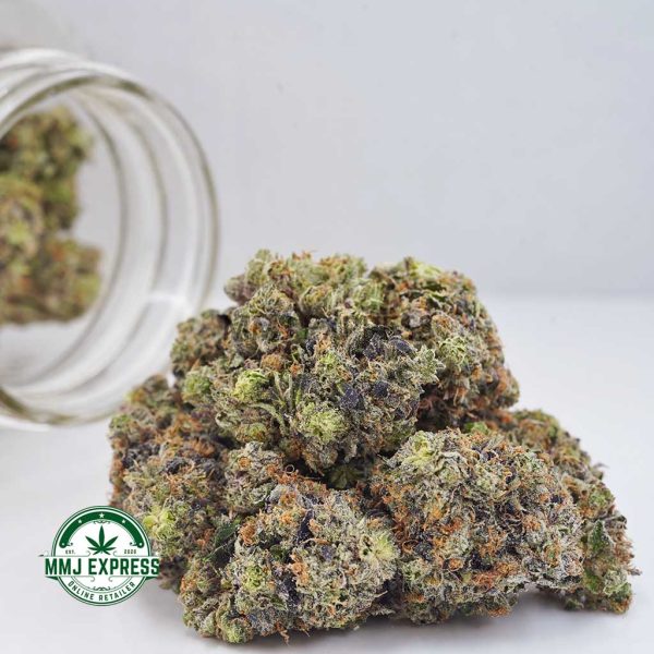 Buy Cannabis El Chapo AAAA at MMJ Express Online Shop
