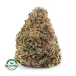Buy Cannabis Blue Marto AAA at MMJ Express Online Shop