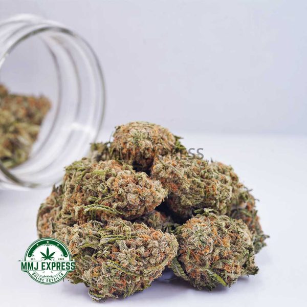 Buy Cannabis Blue Marto AAA at MMJ Express Online Shop
