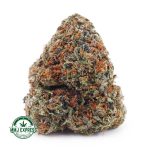 Buy Cannabis Runtz AA at MMJ Express Online Shop
