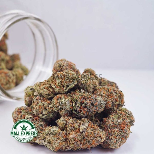 Buy Cannabis Runtz AA at MMJ Express Online Shop