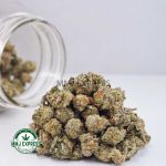 Buy Cannabis Strawberry Punch AAAA (Popcorn Nugs) at MMJ Express Online Shop