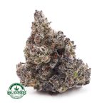 Buy Cannabis Budzilla AAAA+, Craft at MMJ Express Online Shop