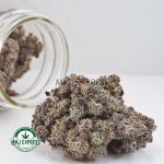 Buy Cannabis Budzilla AAAA+, Craft at MMJ Express Online Shop