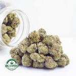 Buy Cannabis Lemonade Punch AAAA (Popcorn Nugs) at MMJ Express Online Shop