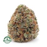 Buy Cannabis Birthday Cake Kush AAAA at MMJ Express Online Shop