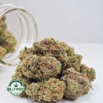 Buy Cannabis Birthday Cake Kush AAAA at MMJ Express Online Shop