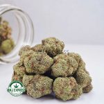 Buy Cannabis Gorilla Glue #4 AAAA at MMJ Express Online Shop