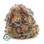 Buy Cannabis Blackberry Kush AAA at MMJ Express Online Shop