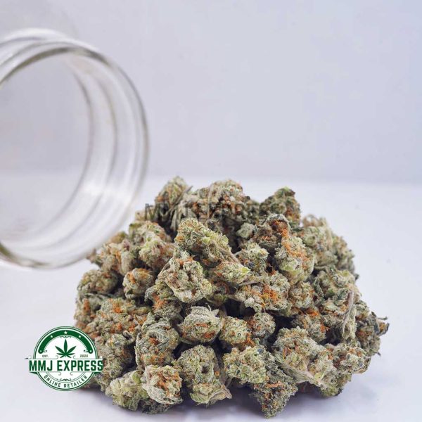 Buy Cannabis Platinum Cookies AAAA (Popcorn Nugs) at MMJ Express Online Shop