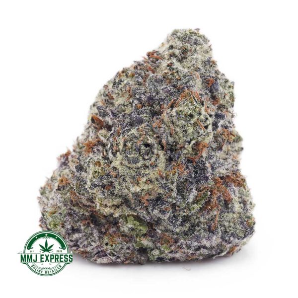 Buy Cannabis Dragon Fruit Gelato AAAA+, Craft at MMJ Express Online Shop