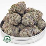 Buy Cannabis Dragon Fruit Gelato AAAA+, Craft at MMJ Express Online Shop