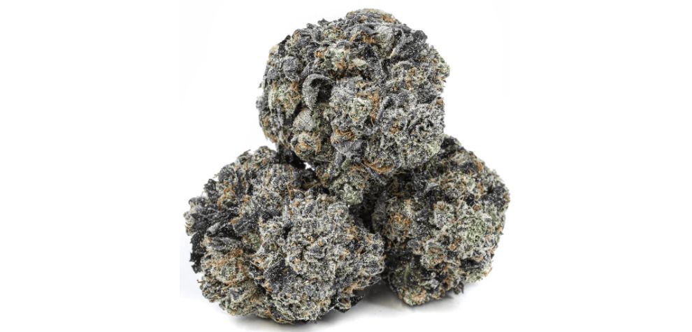 Yes, this bud has a great terpene profile and amazing flavours and tastes, but to many, that means nothing if its effects are anything short of impressive. 