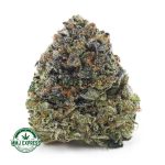 Buy Cannabis Pink Death Star AAA at MMJ Express Online Shop