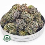 Buy Cannabis Pink Death Star AAA at MMJ Express Online Shop