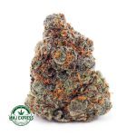 Buy Cannabis Guava Cake AAA at MMJ Express Online Shop