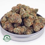 Buy Cannabis Guava Cake AAA at MMJ Express Online Shop